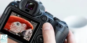 تکنیک هیجان انگیز براکت گذاری نقطه ی فوکوس در دوربین
